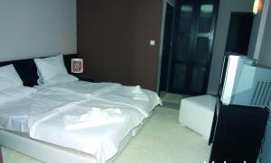 хотел Света София - Снимка b_201111241129456 