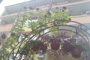 Хотел Вива Бийч - Снимка b_201112061742136 