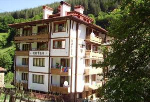 Хотел Бащината Къща - Снимка b_201202020910296 