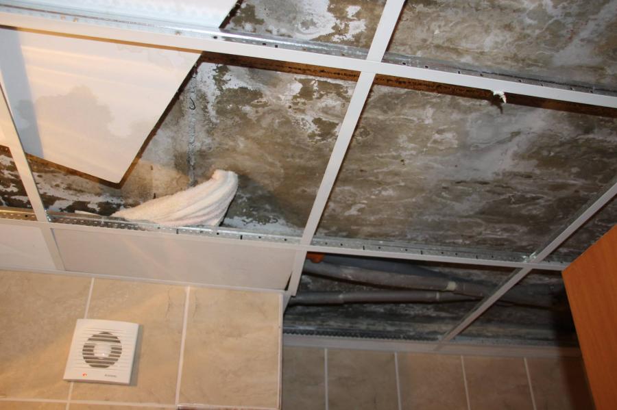 Хотел Феникс-Созопол - Снимка b_20140708124344850 