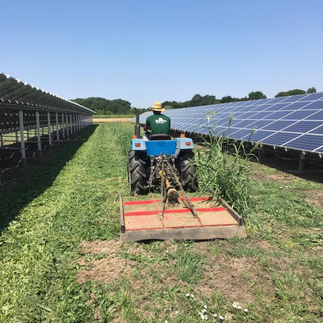 Без Трева - Снимка b_201707271816041539 