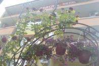 Снимки за Хотел Вива Бийч-Хотели 